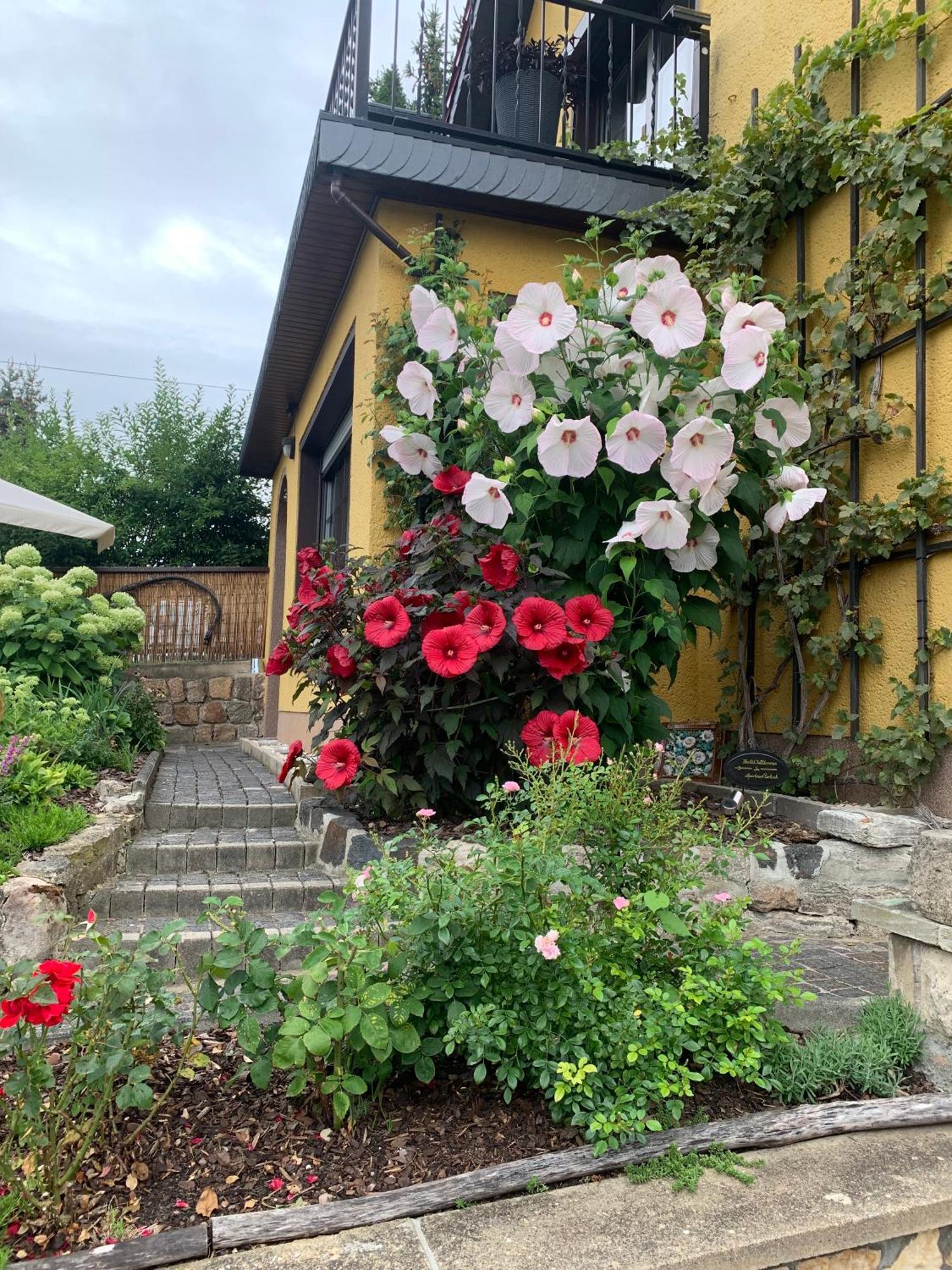 Partzsch Apartment Wethau Bagian luar foto