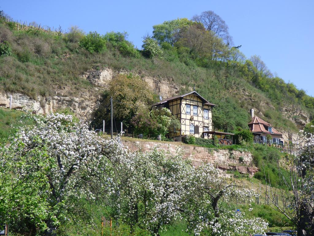 Partzsch Apartment Wethau Bagian luar foto